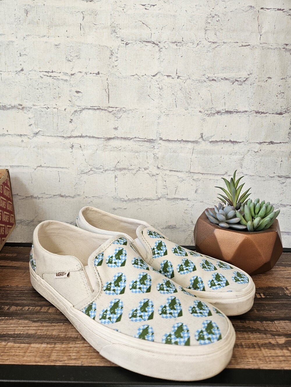 Vans Eco Positivity Earth Day Checker Heart Print Asher Slip On Sneaker 8.5